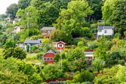 Digtalt deltagande för vårdpersonal i föreläsningarna på rikstäff 2026