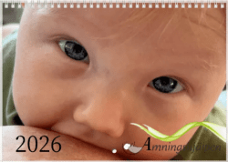 Väggkalender 2026