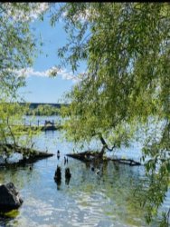 Medlem som deltar lördag och söndag- eget boende