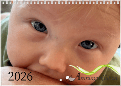 Zoom bild av Väggkalender 2026