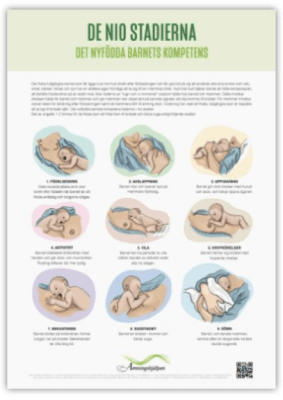 Zoom bild av De 9-stadierna de nyfödda barnets kompetens 4 A